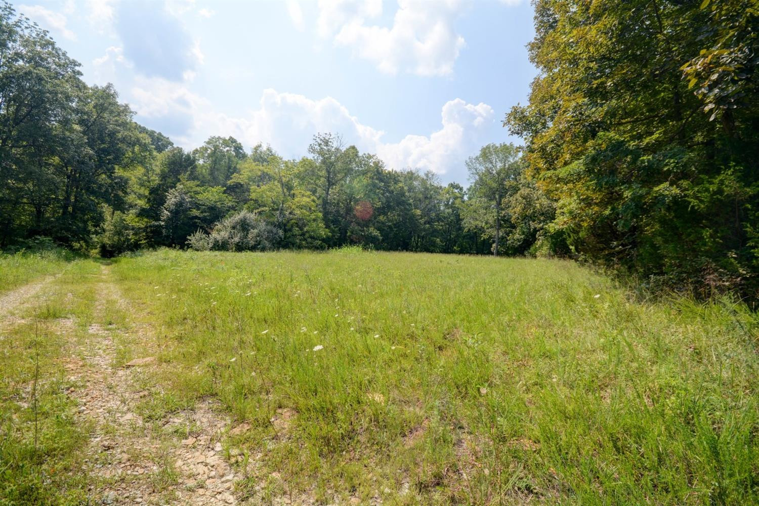 863 Kiddville Road Winchester, KY 40391 - Photo 18 of 23 Photo 18