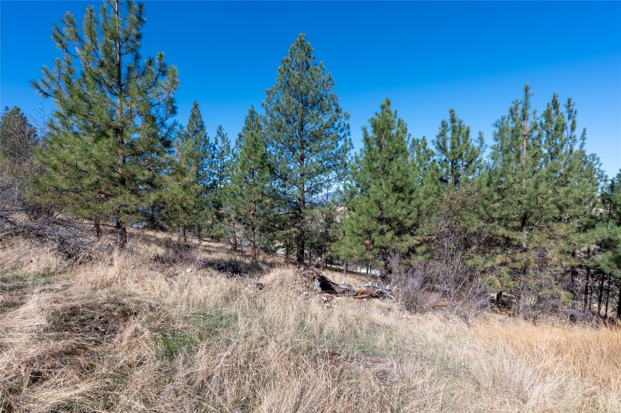 46 Deemer Ridge Road Plains, MT 59859 - Photo 55 of 58 Gallery Image 55