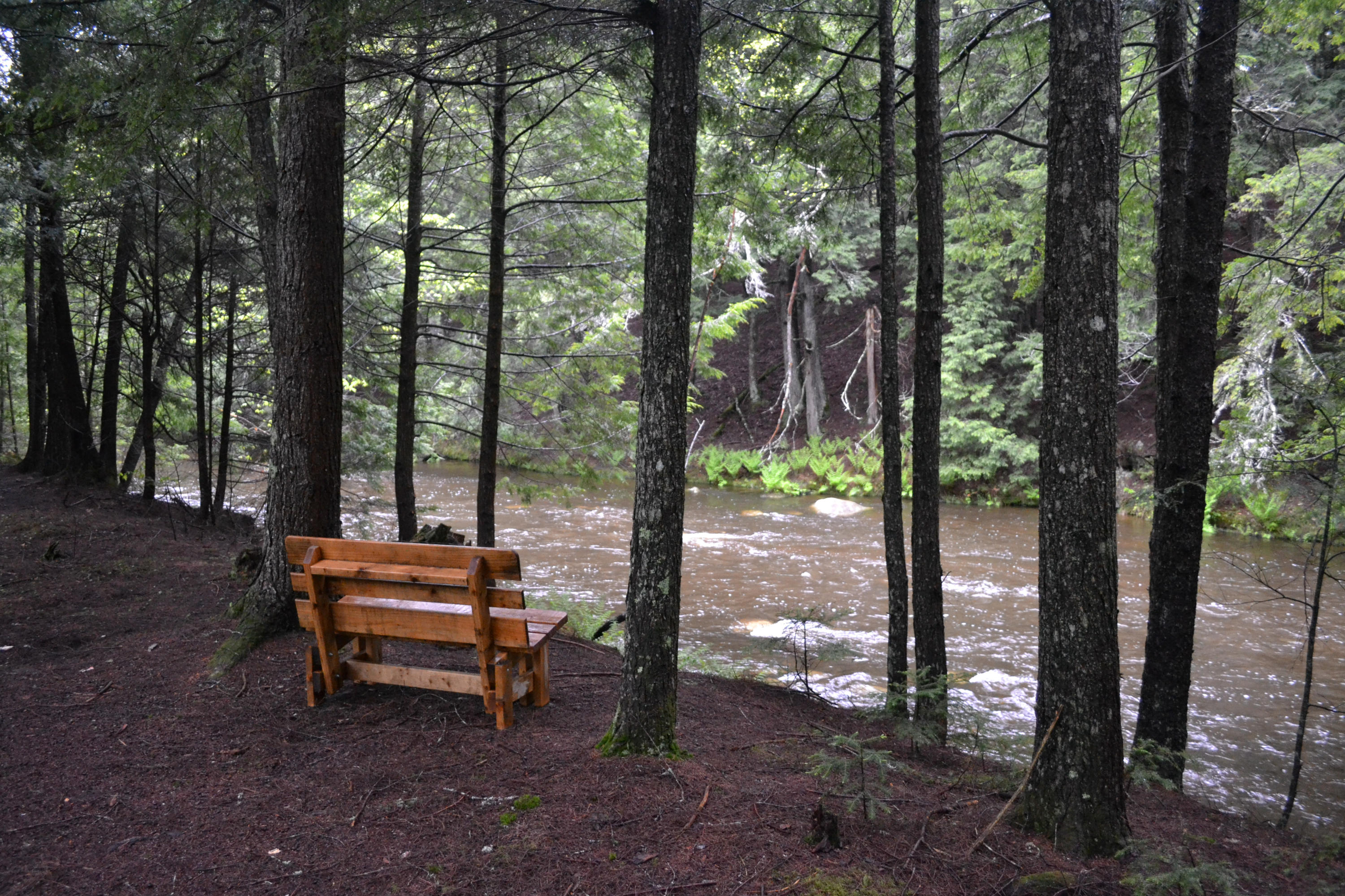 87 Stevens Road Unity, ME 04988 - Photo 83 of 116 87Stevens (5 of 72)
