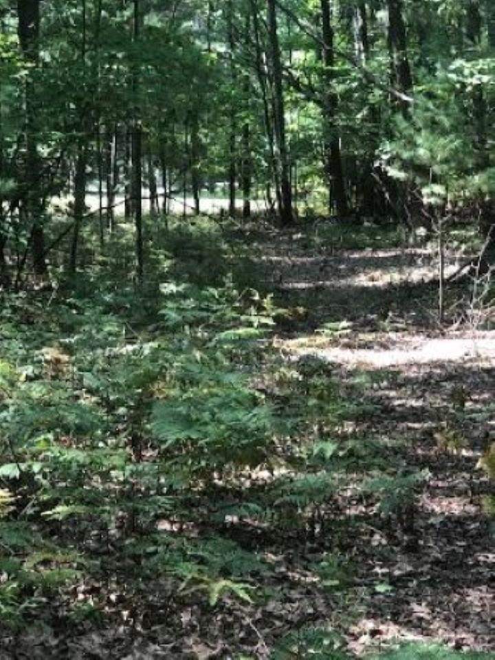Pine Ridge Standish, MI 48658 - Photo 6 of 9