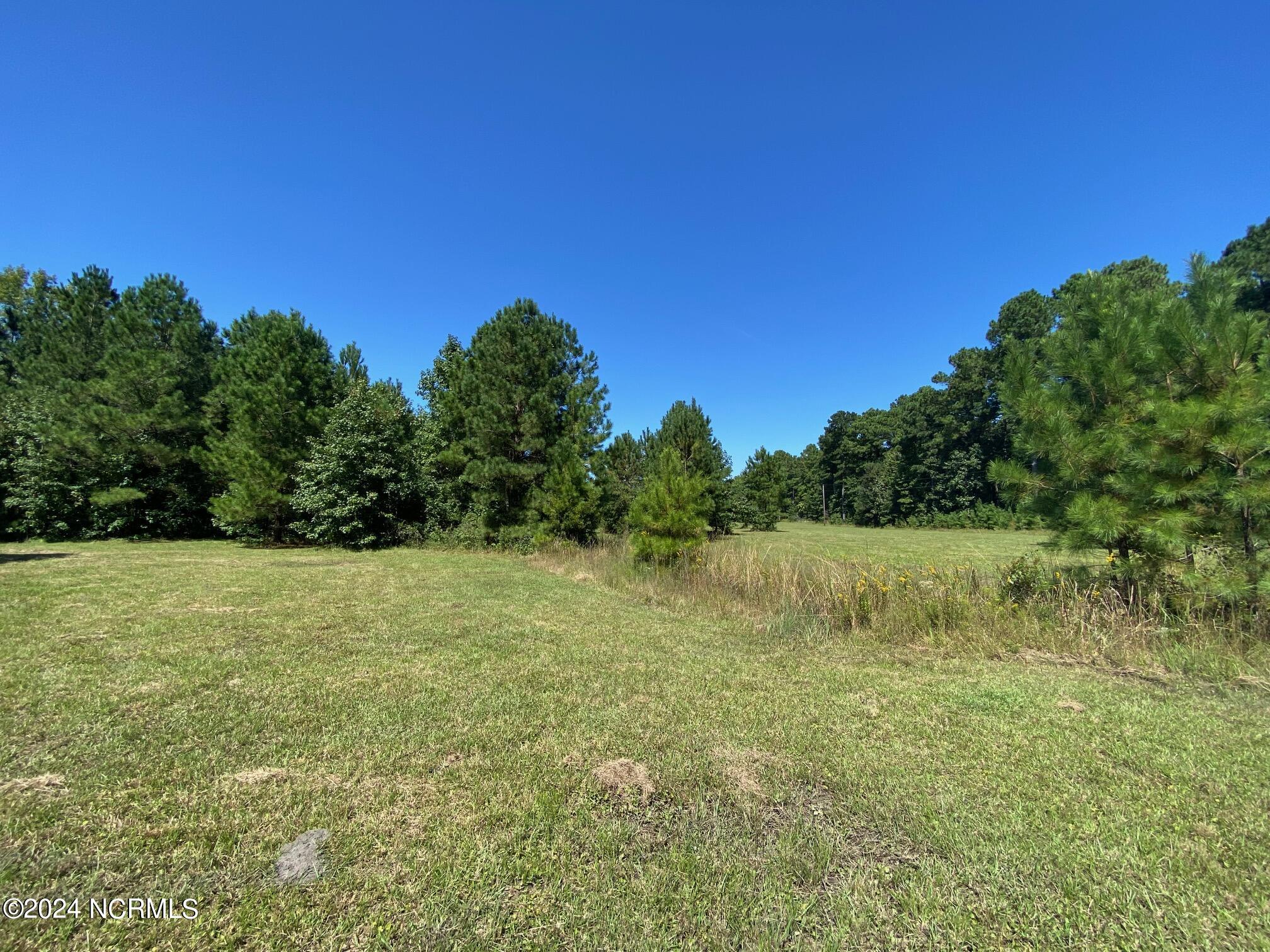 880 Smith Farm Road Havelock, NC 28532 - Photo 4 of 13 Quiet Country Setting