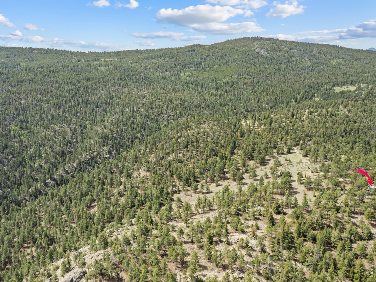 1825 Soul Shine Road Drake, CO 80515 - Photo 4 of 34 Looking South