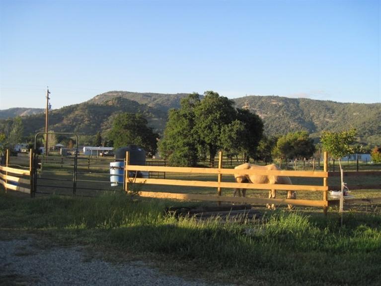 29013 Burrough Valley Road Tollhouse, CA 93667 - Photo 7 of 27 Gallery Image 7