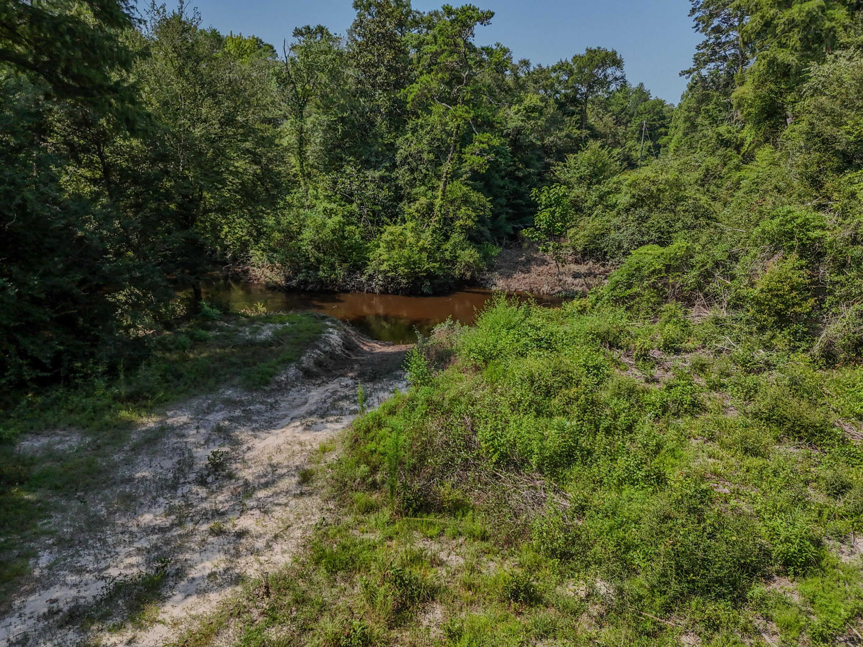 3128 County Road 10 Samson, AL 36477 - Photo 49 of 67 DJI_20260630231821_0043_D
