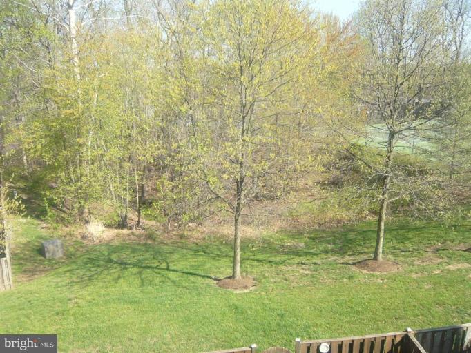 8605 Pin Oak Drive Springfield, VA 22153 - Photo 19 of 25 Wooded View / Acreage