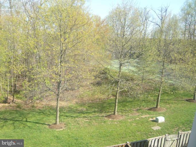 8605 Pin Oak Drive Springfield, VA 22153 - Photo 7 of 25 Wooded View / Acreage 2