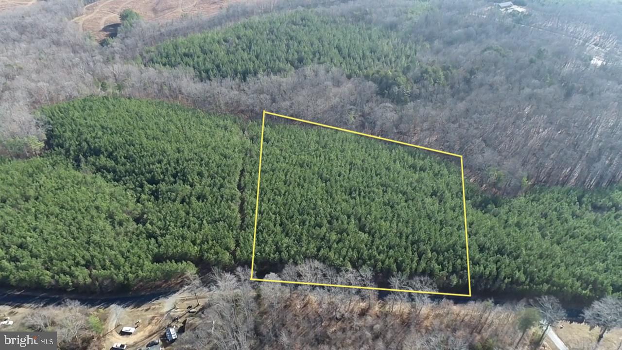 a view of a forest from a balcony