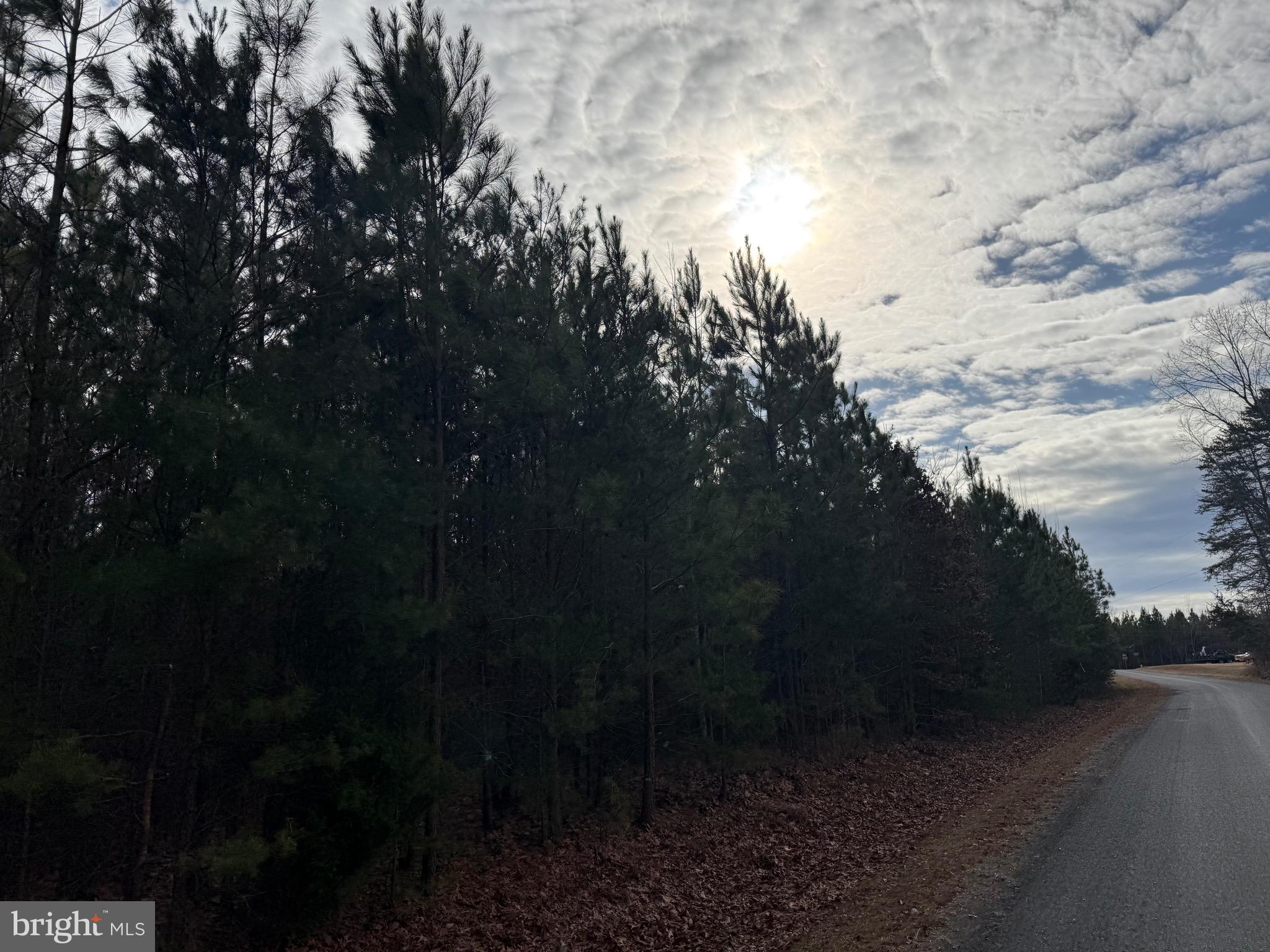 Lot C3 Hardware Road Arvonia, VA 23004 - Photo 3 of 18 a view of outdoor space and yard