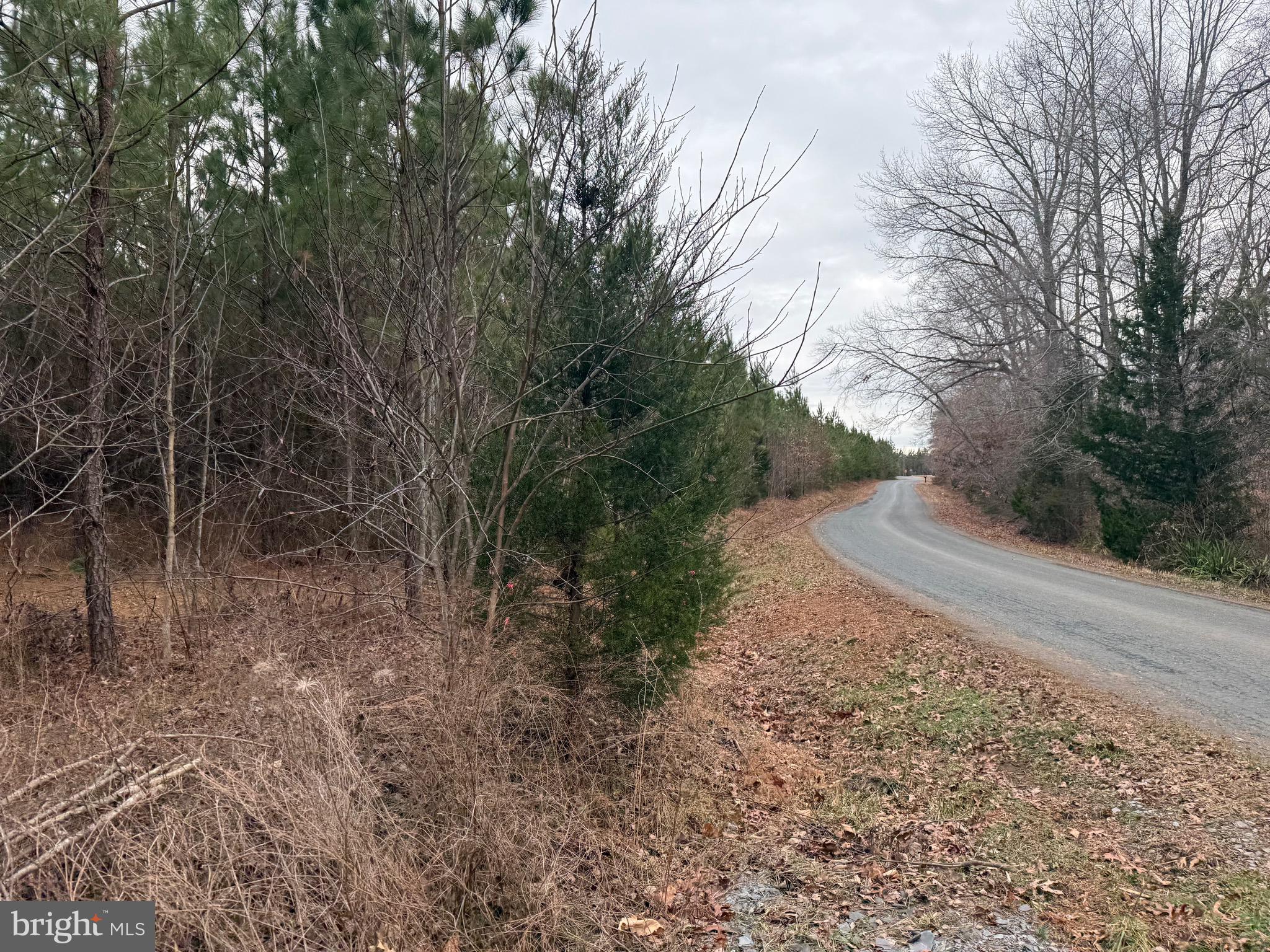 Lot C3 Hardware Road Arvonia, VA 23004 - Photo 4 of 18 a big yard with lots of green space