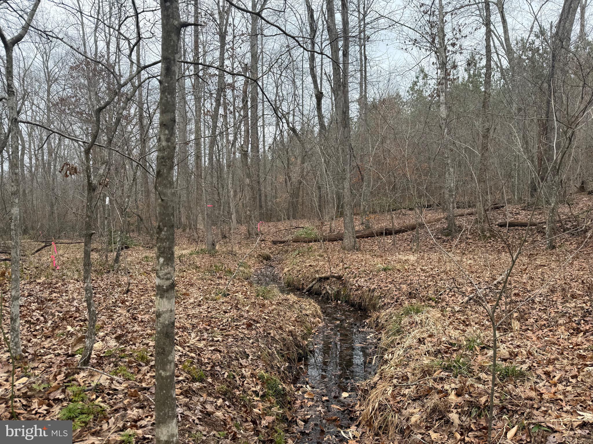 Lot C3 Hardware Road Arvonia, VA 23004 - Photo 7 of 18 a view of small space with lots of trees