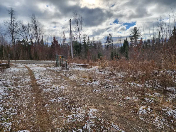 $39,900 | Lot 2 Greenleaf Brook Road, Amity, ME 04471