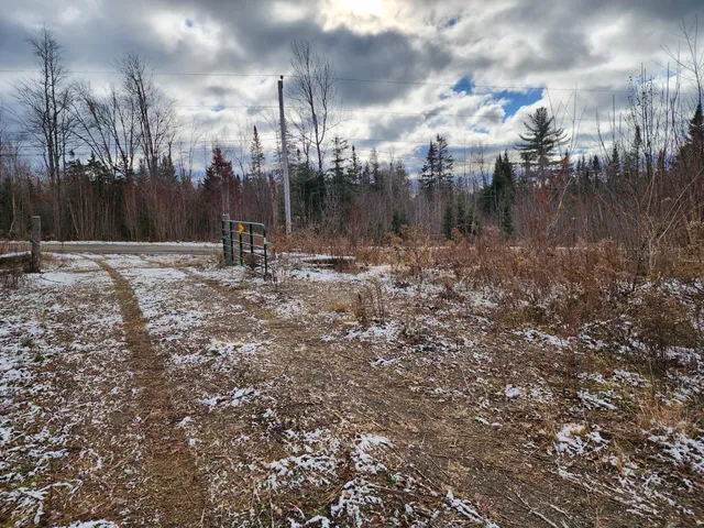 $39,900 | Lot 2 Greenleaf Brook Road, Amity, ME 04471