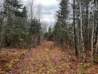 $39,900 | Lot 2 Greenleaf Brook Road, Amity, ME 04471