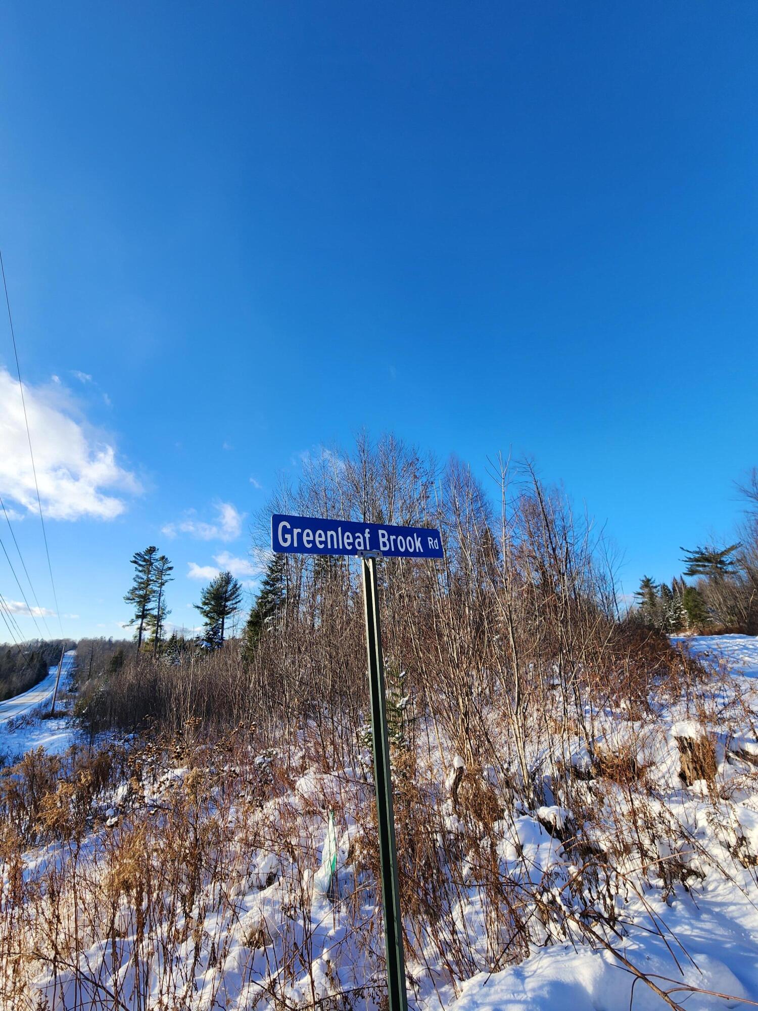 Lot 2 Greenleaf Brook Road Amity, ME 04471 - Photo 6 of 12 20251208_142437