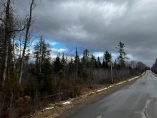 $39,900 | Lot 2 Greenleaf Brook Road, Amity, ME 04471