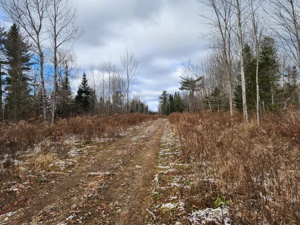 $39,900 | Lot 2 Greenleaf Brook Road, Amity, ME 04471