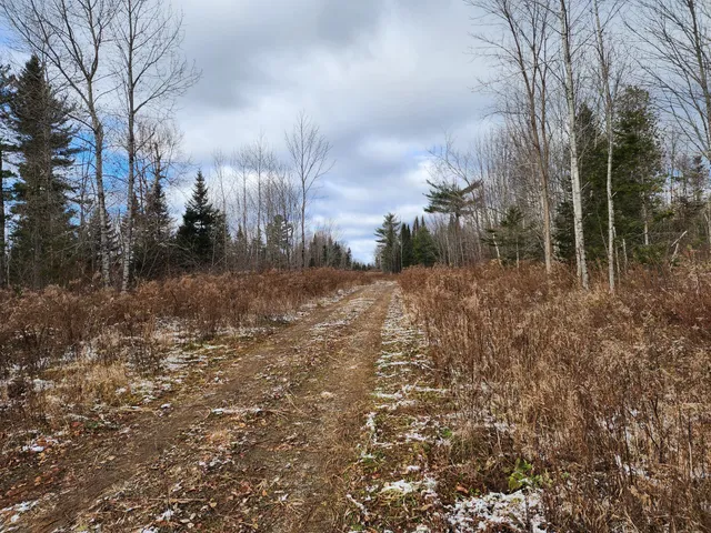 $39,900 | Lot 2 Greenleaf Brook Road, Amity, ME 04471