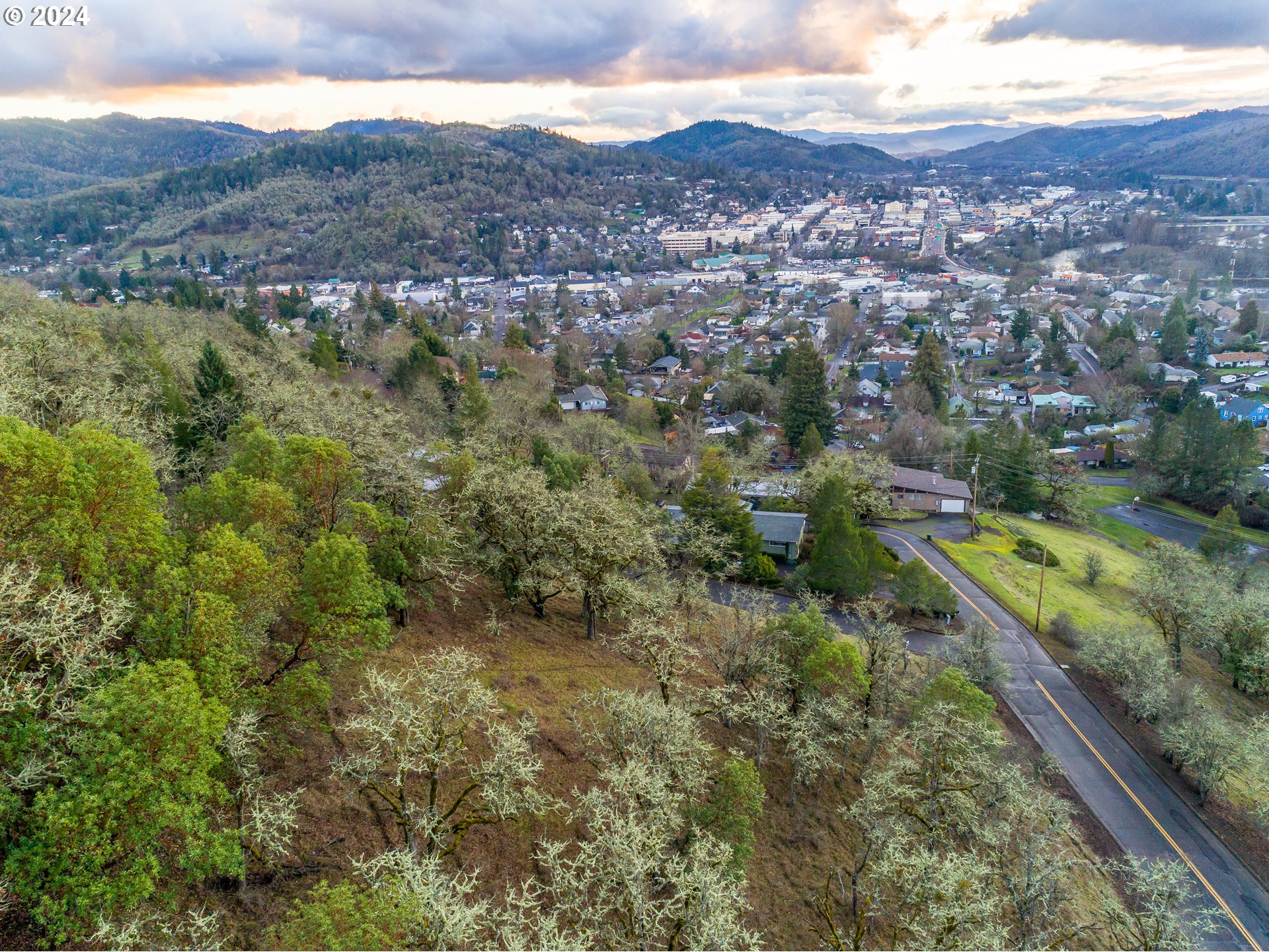 Northeast Sunset Street Roseburg, OR 97470 - Photo 5 of 12