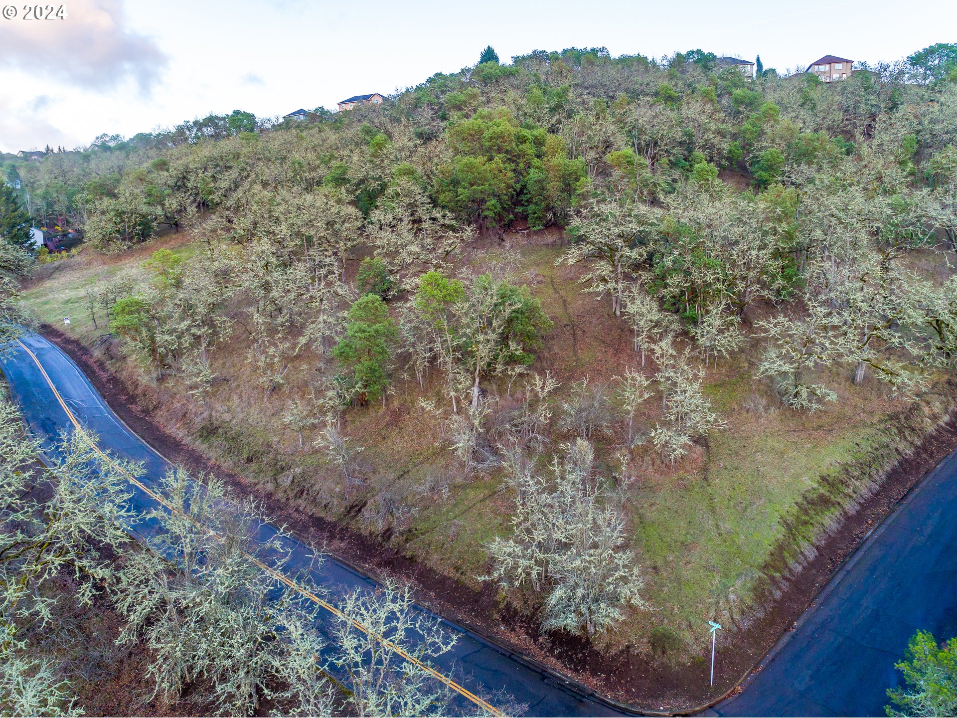 Northeast Sunset Street Roseburg, OR 97470 - Photo 7 of 12
