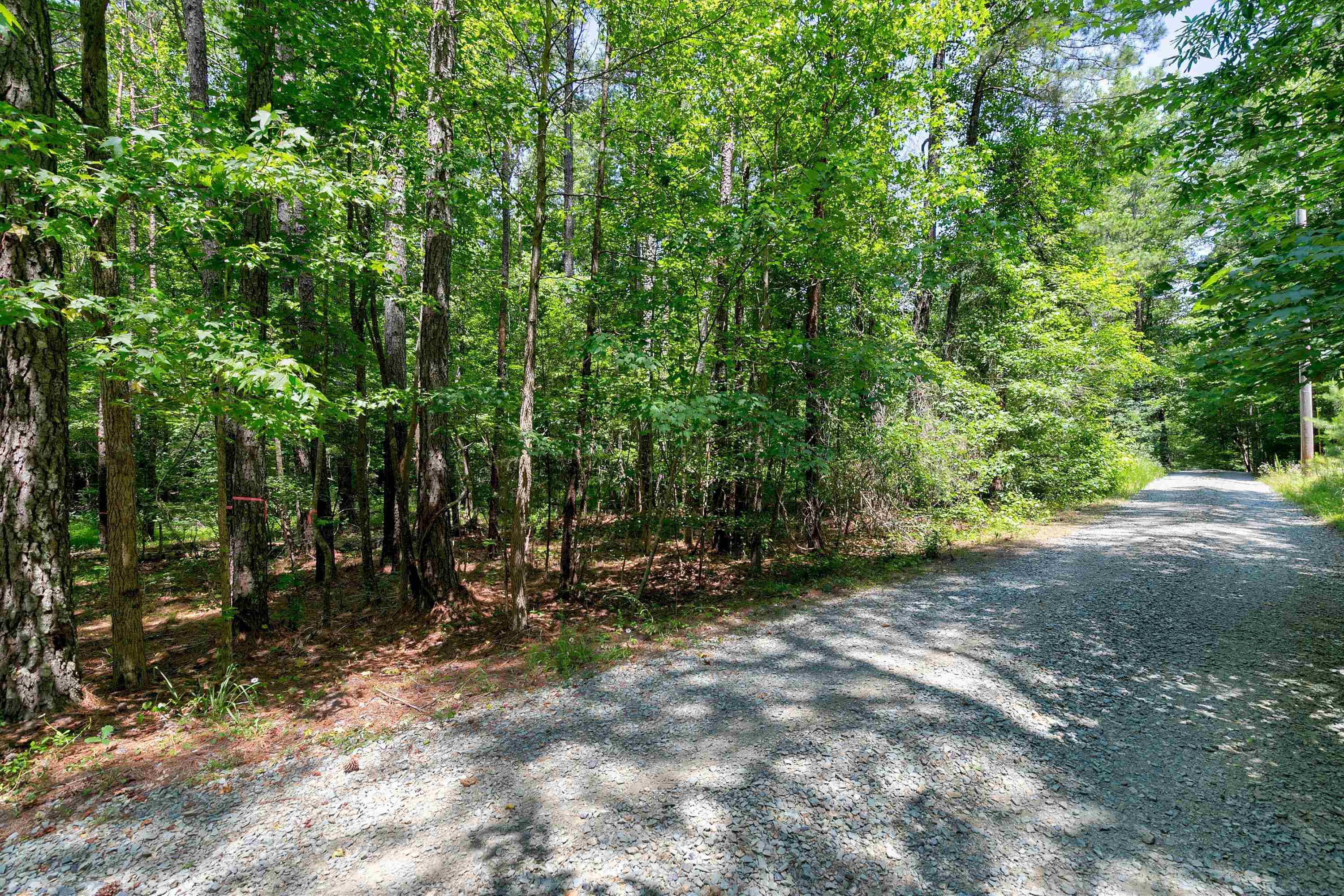 272 Mill Stone Road Moncure, NC 27559 - Photo 13 of 21 Photo 13