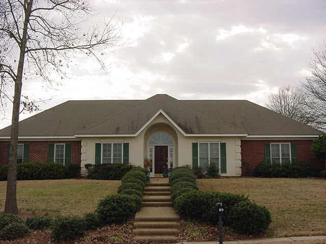 319 Semoia Lane Ridgeland, MS 39157 - Photo 1 of 1 Photo 1