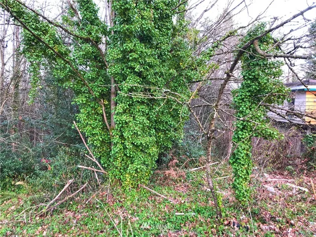 $795,000 | 8422 Rainier Avenue South, Seattle, WA 98118