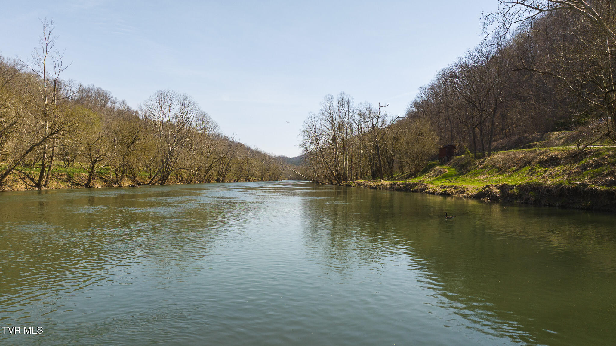 9950 Chestnut Ridge Road Eidson, TN 37731 - Photo 15 of 63 DJI_20250328114508_0859_D