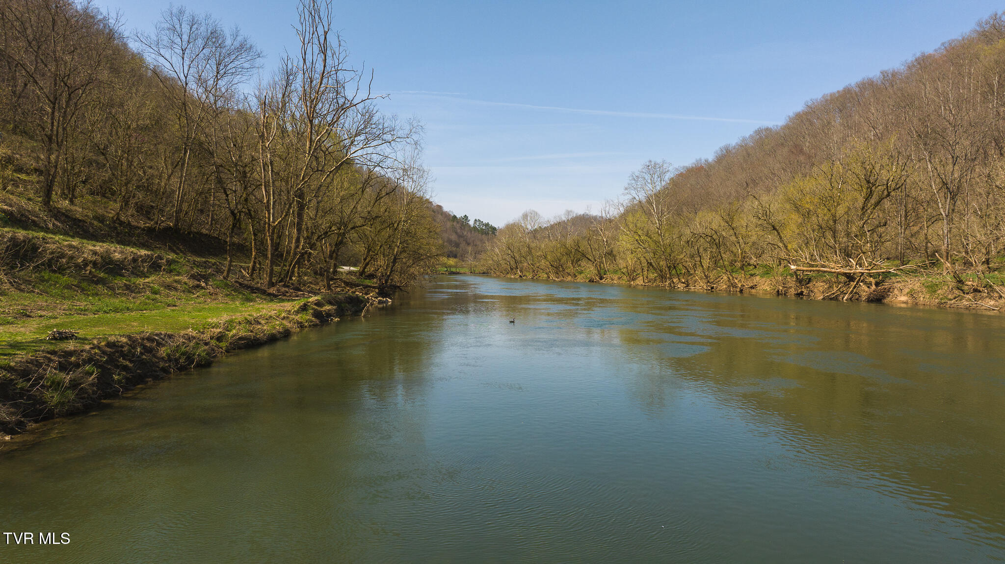 9950 Chestnut Ridge Road Eidson, TN 37731 - Photo 33 of 63 DJI_20250328114417_0856_D