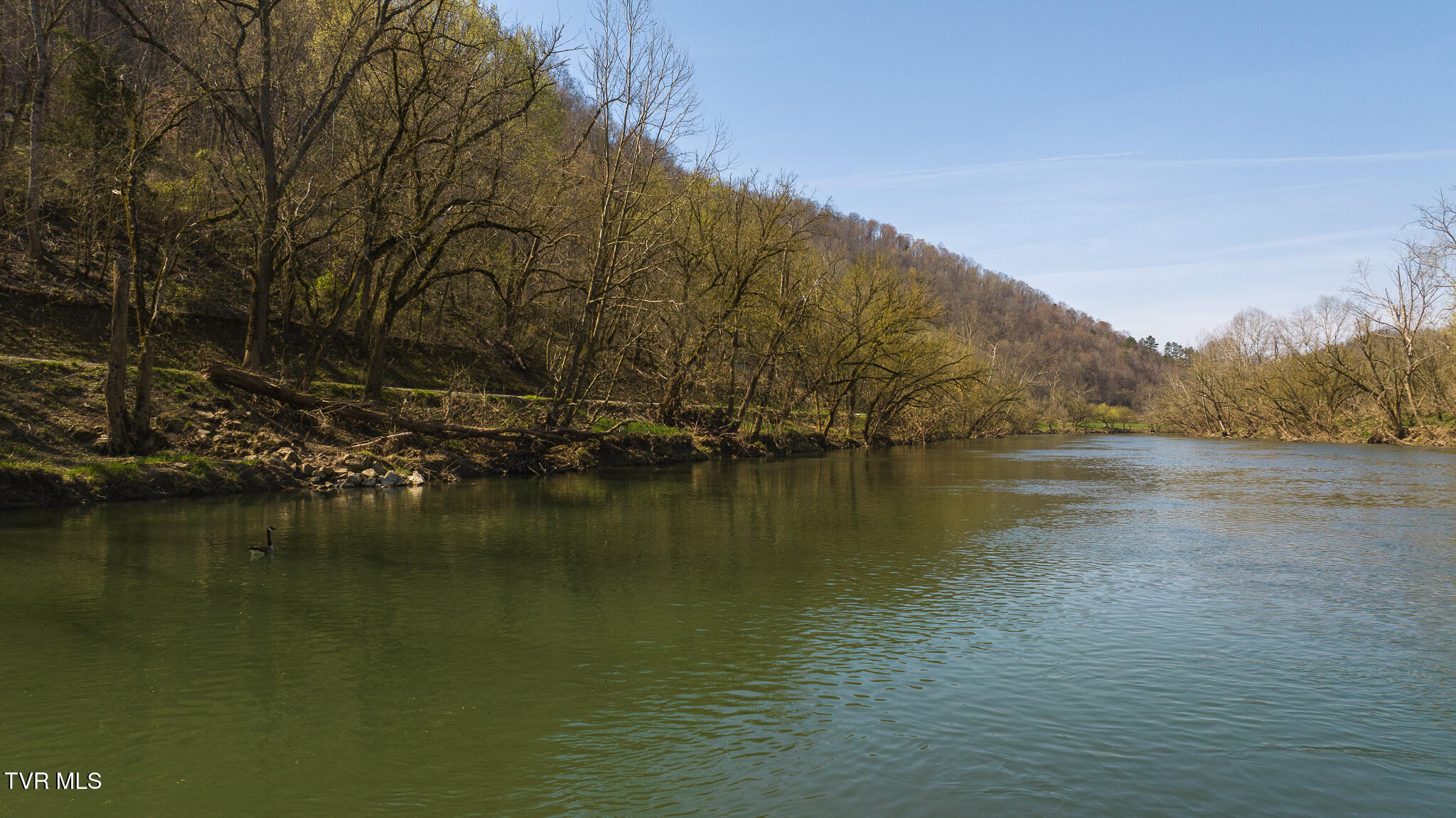 9950 Chestnut Ridge Road Eidson, TN 37731 - Photo 34 of 63 DJI_20250328114456_0858_D