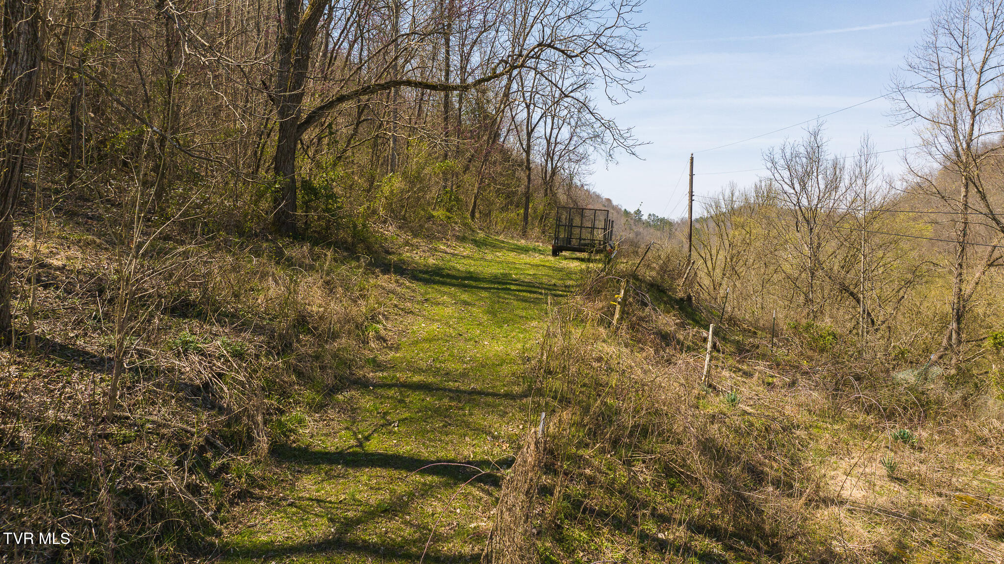 9950 Chestnut Ridge Road Eidson, TN 37731 - Photo 52 of 63 DJI_20250328122501_0895_D
