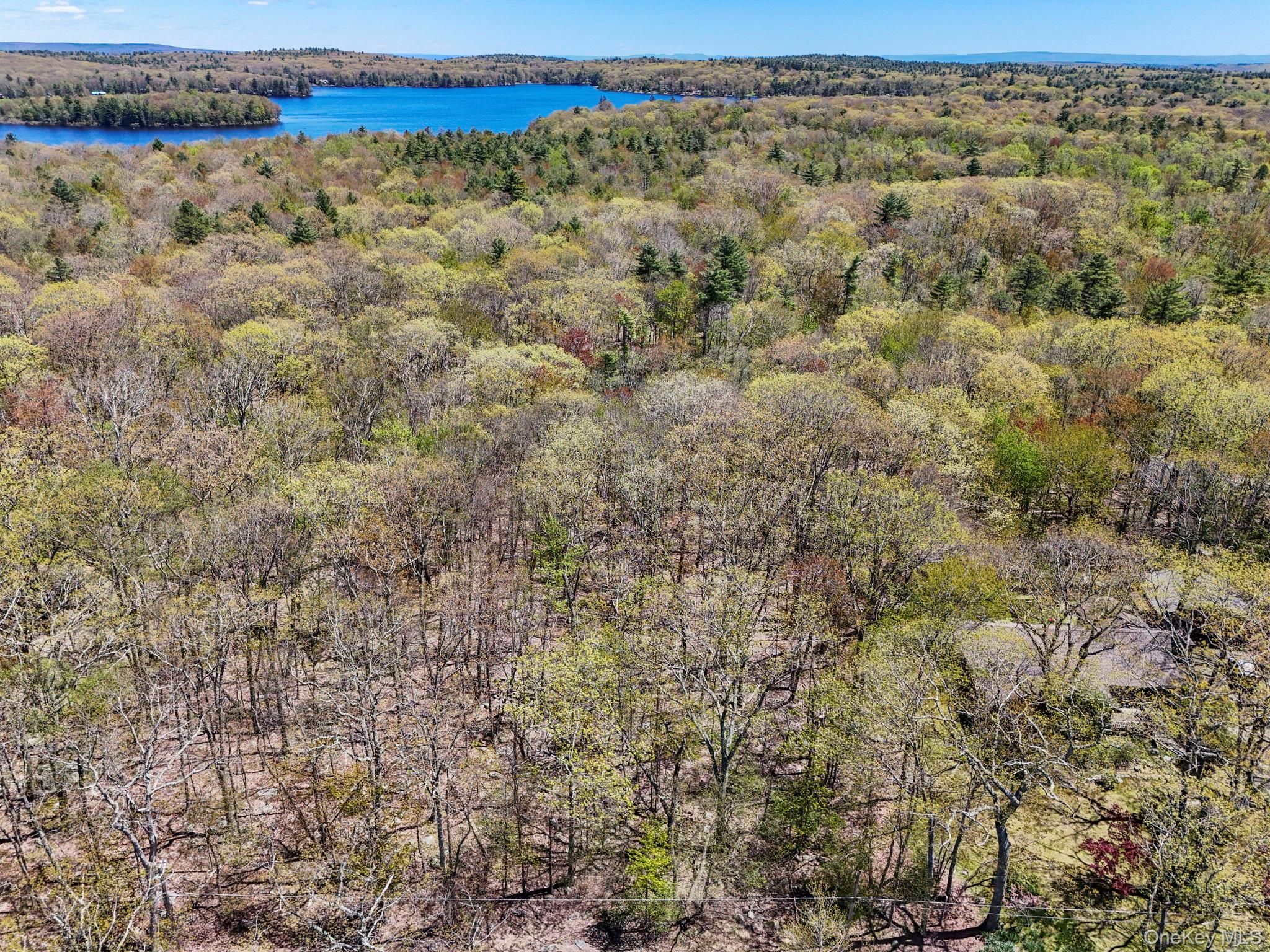 Canal Road Wurtsboro, NY 12790 - Photo 2 of 19