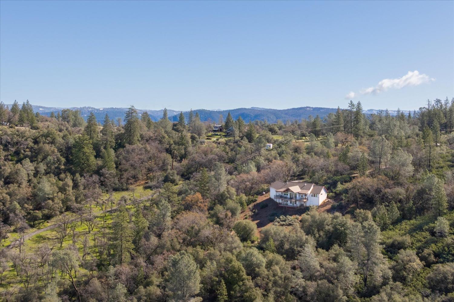 3204 Skunk Ranch Road Murphys, CA 95247 - Photo 4 of 59