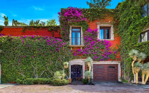 a front view of a house with plants