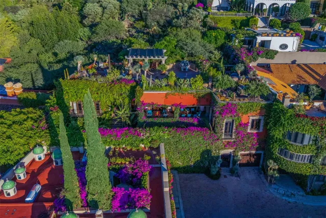 a view of stairs and flowers