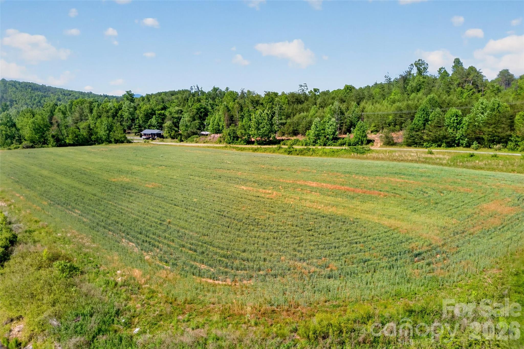 3361 Bethlehem Road Old Fort, NC 28762 - Photo 1 of 47