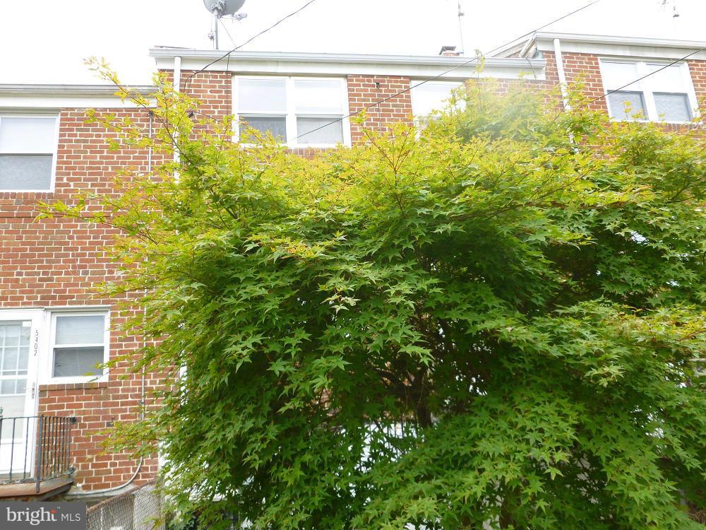 5404 Addington Road Baltimore, MD 21229 - Photo 9 of 9 Exterior (Rear)
