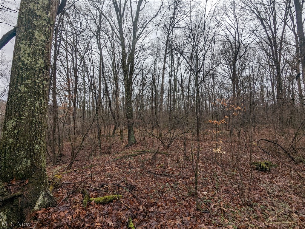 Overture Road Northeast Mechanicstown, OH 44651 - Photo 14 of 23 Gallery Image 14