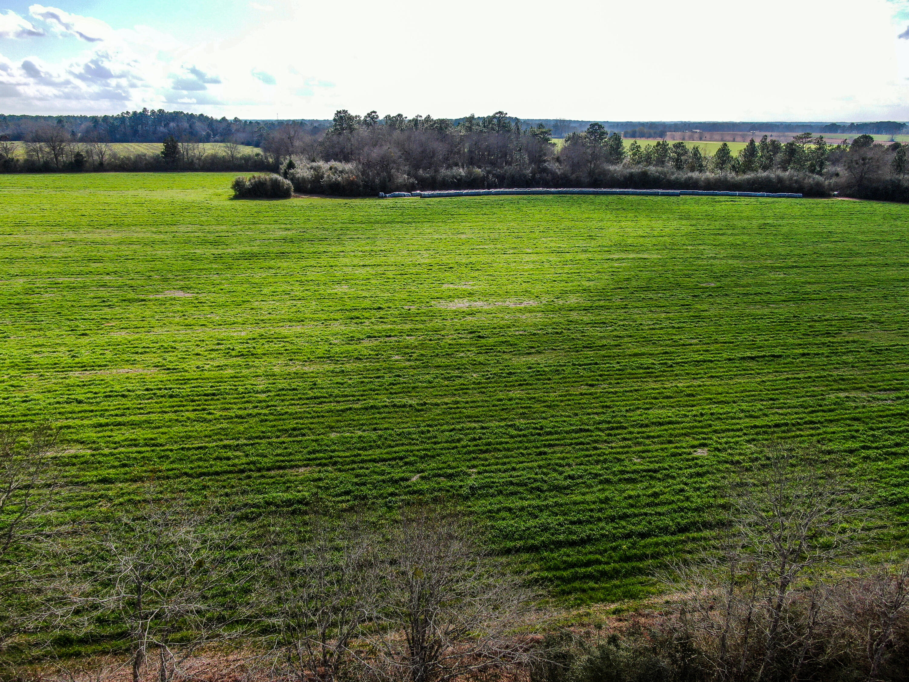 40-acres 40-acres Brown Road DeFuniak Springs, FL 32433 - Photo 11 of 24 a view of an outdoor space and yard