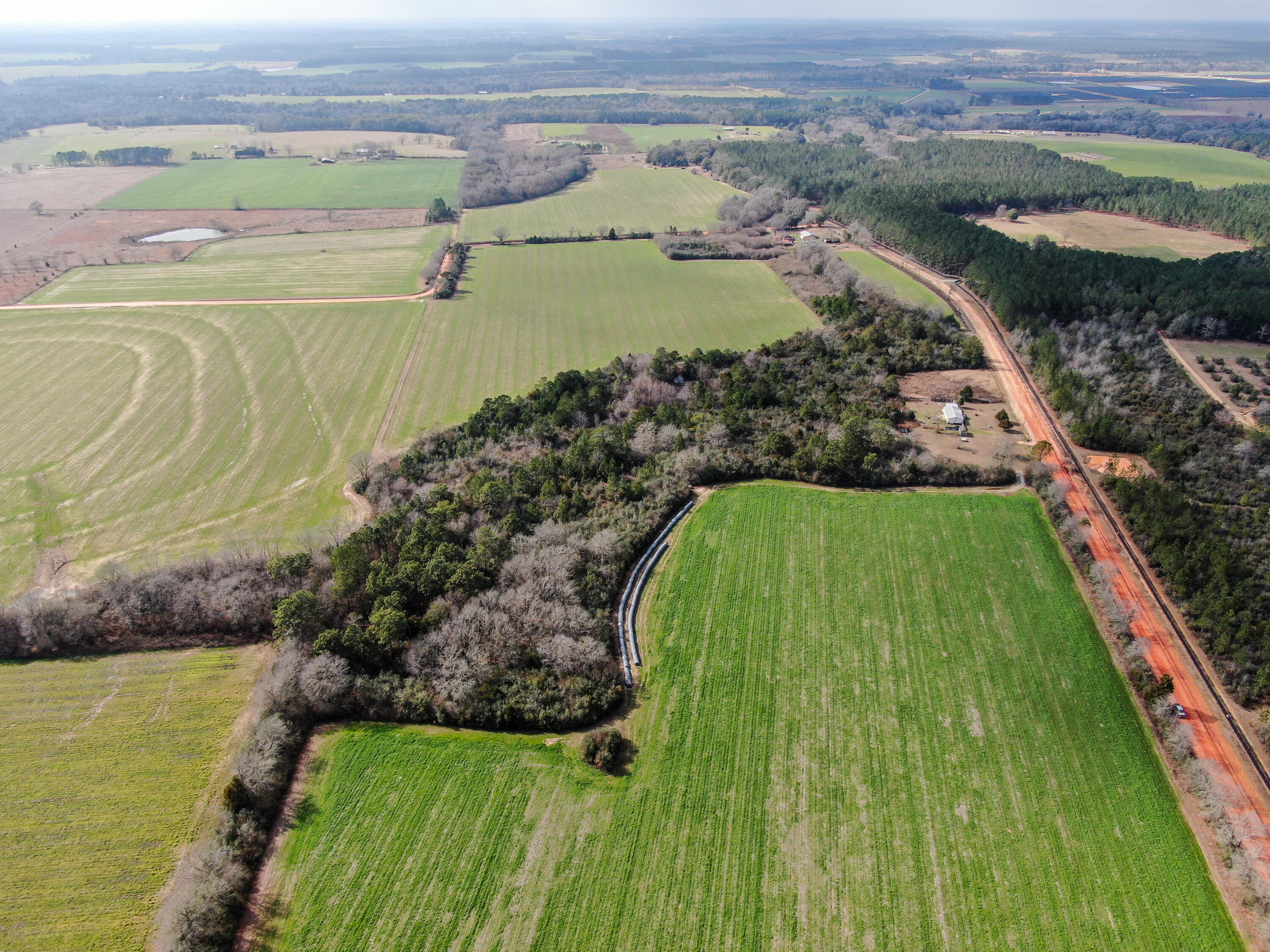 40-acres 40-acres Brown Road DeFuniak Springs, FL 32433 - Photo 15 of 24 a view of a water pond with green yard