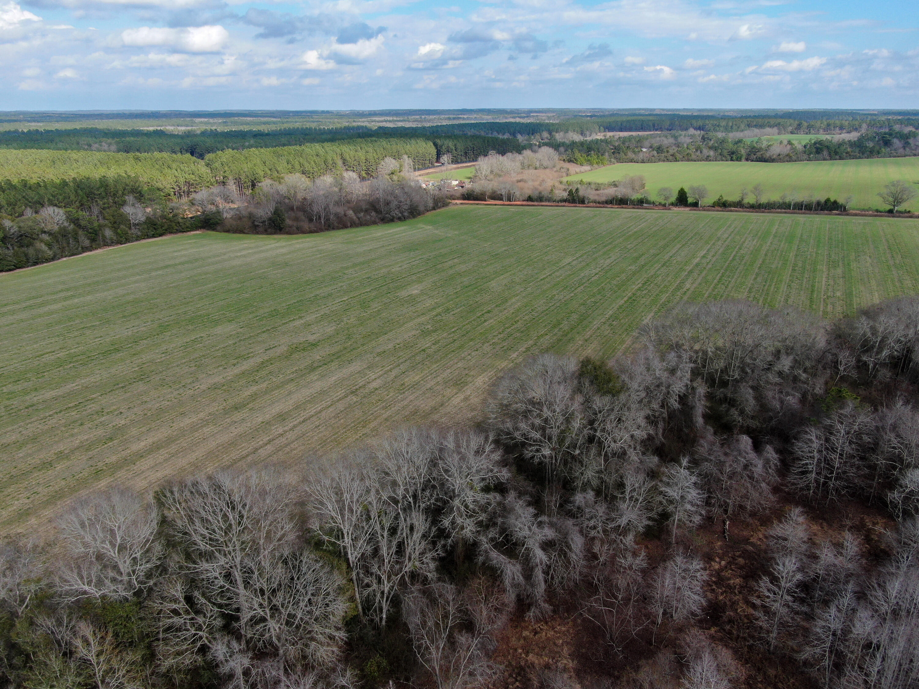 40-acres 40-acres Brown Road DeFuniak Springs, FL 32433 - Photo 18 of 24 a view of a lake from a yard