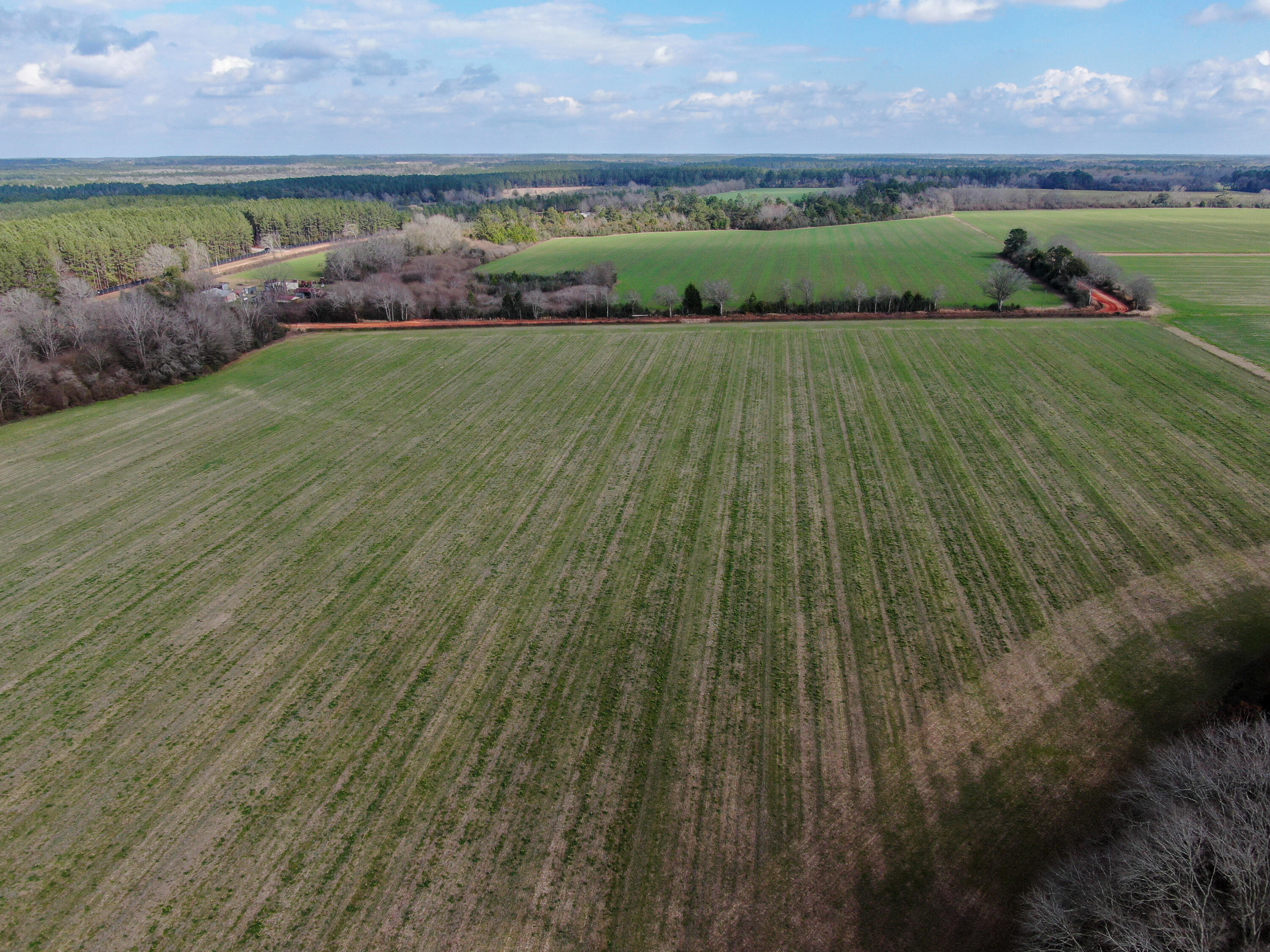 40-acres 40-acres Brown Road DeFuniak Springs, FL 32433 - Photo 19 of 24 a view of an outdoor space and a lake view