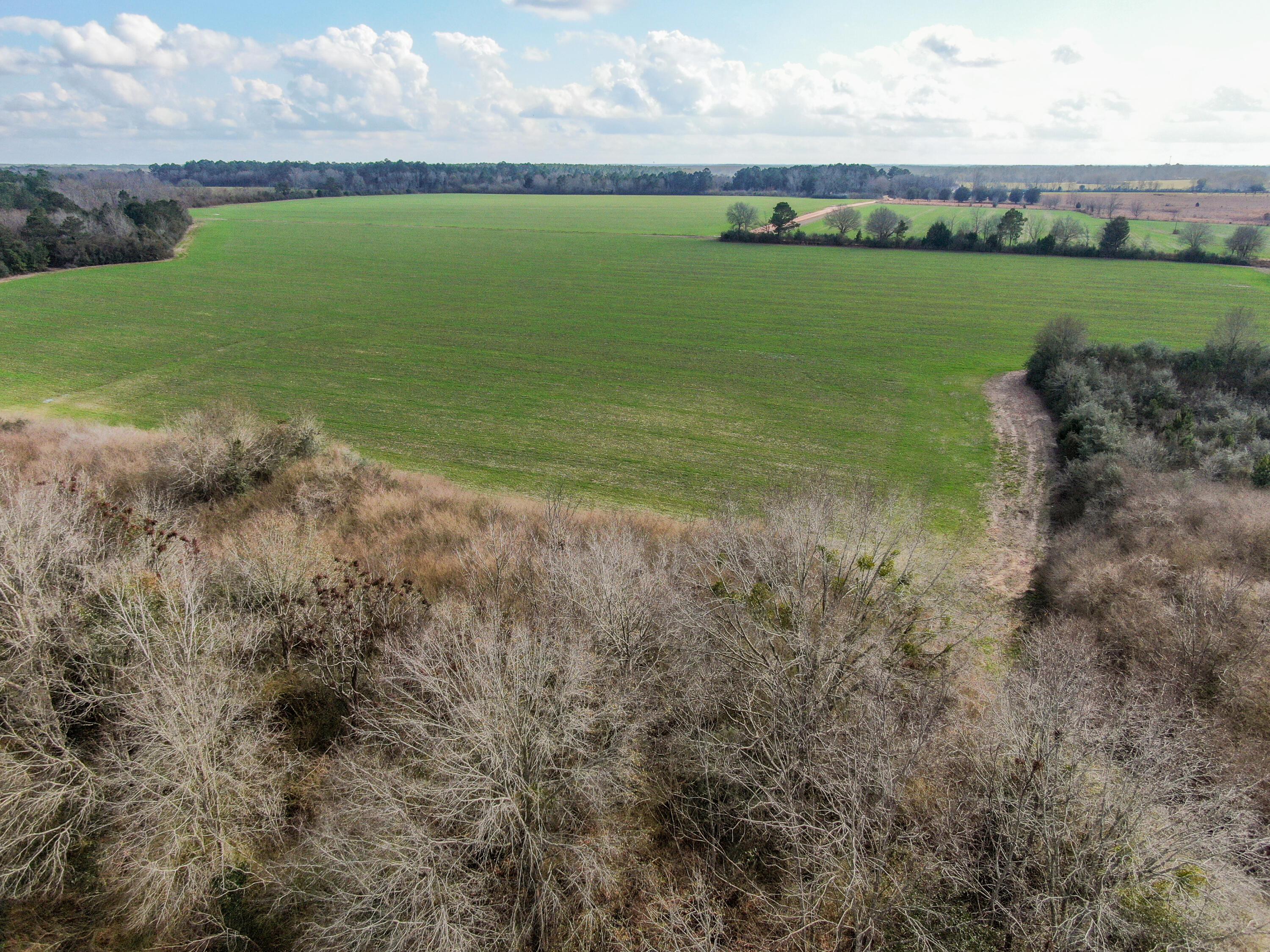 40-acres 40-acres Brown Road DeFuniak Springs, FL 32433 - Photo 6 of 24 a view of a lake with a big yard