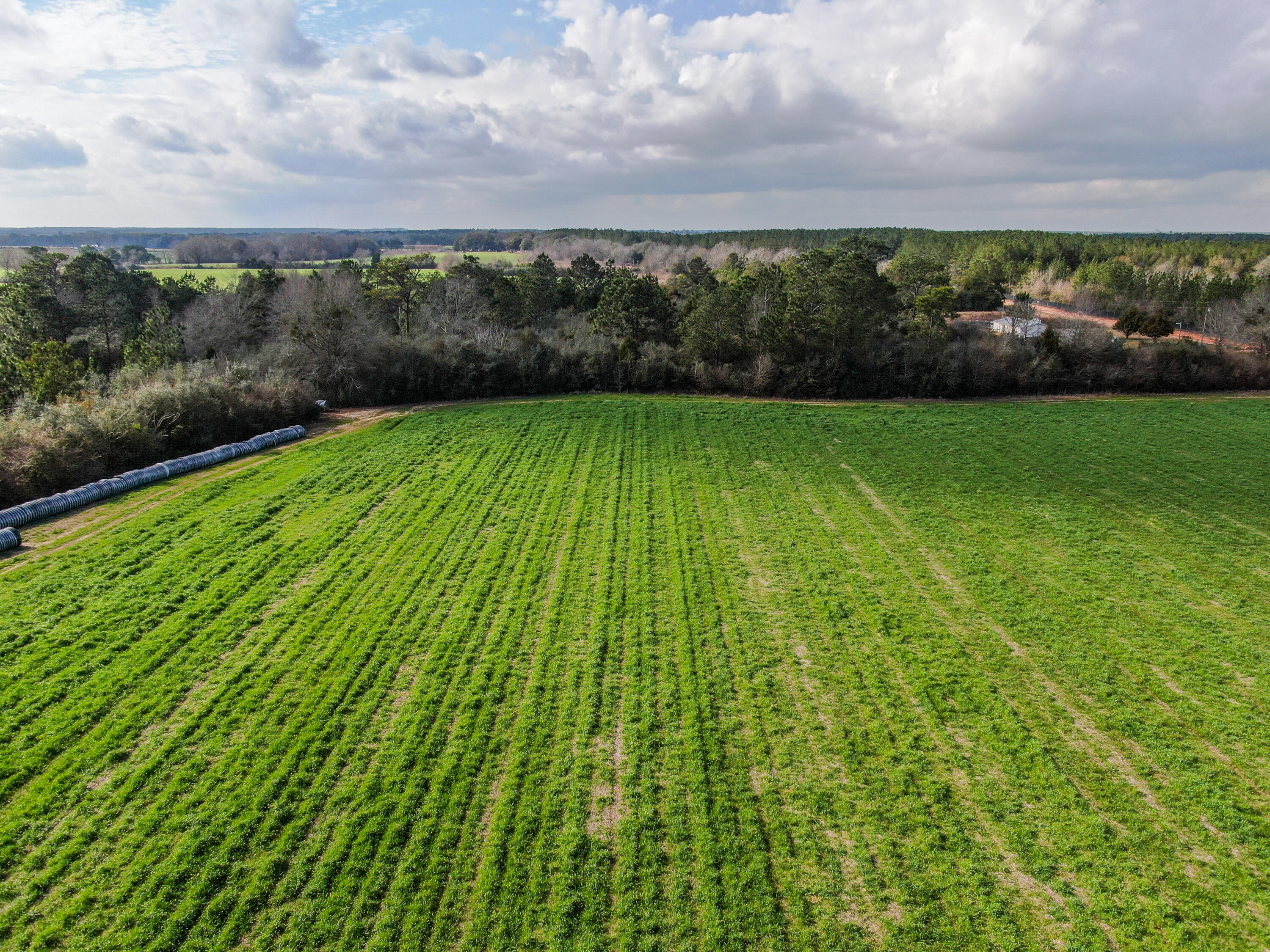 40-acres 40-acres Brown Road DeFuniak Springs, FL 32433 - Photo 10 of 24 a view of swimming pool from a yard
