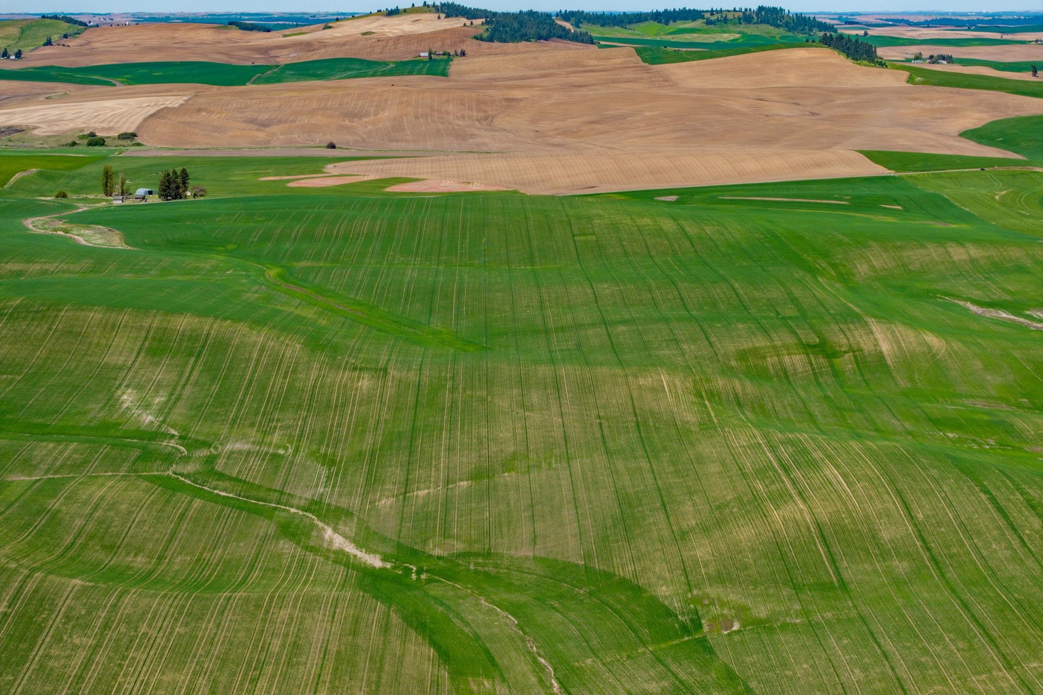 Nka South Starr Road Fairfield, WA 99012 - Photo 11 of 30