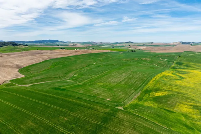 $715,000 | Nka South Starr Road, Fairfield, WA 99012