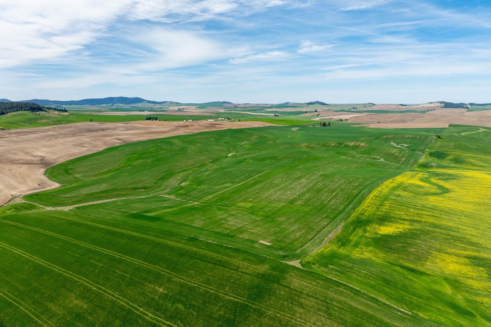 Nka South Starr Road Fairfield, WA 99012 - Photo 12 of 30