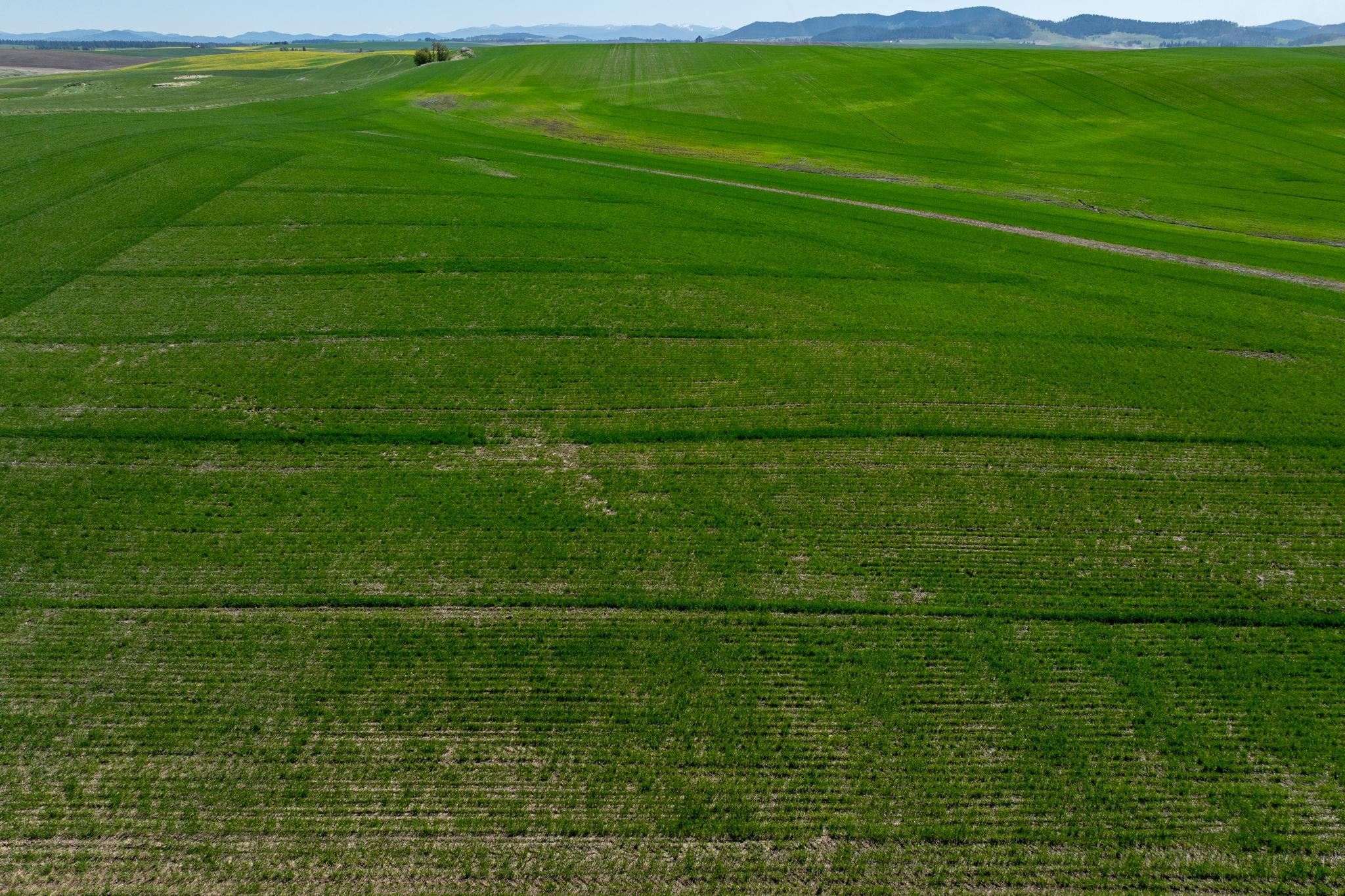 Nka South Starr Road Fairfield, WA 99012 - Photo 14 of 30