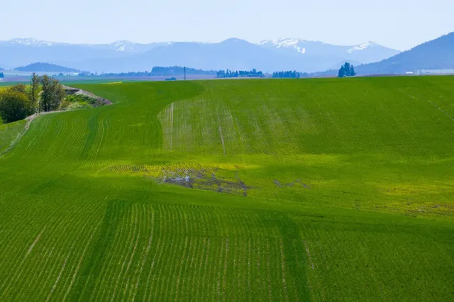 $715,000 | Nka South Starr Road, Fairfield, WA 99012