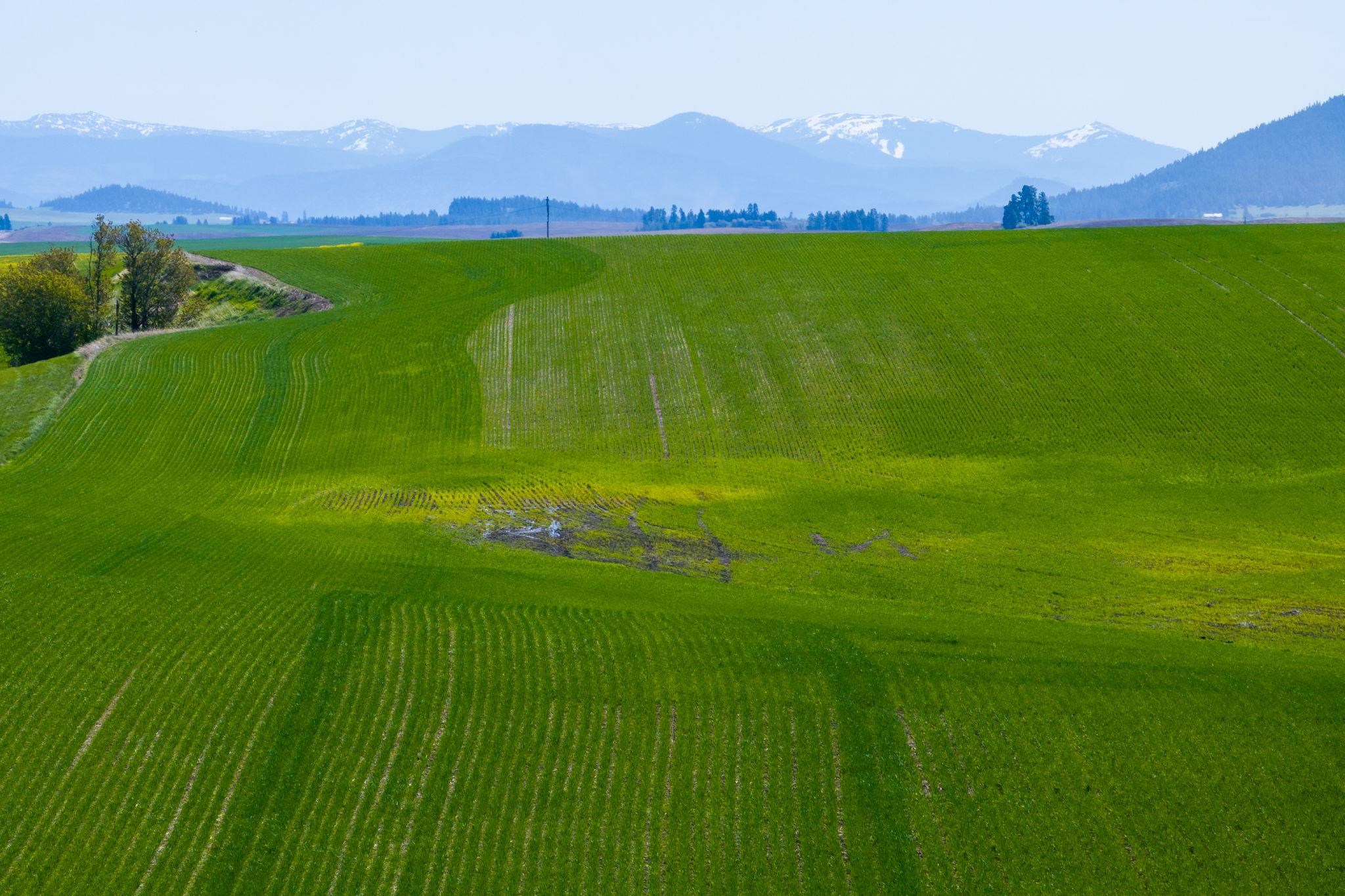 Nka South Starr Road Fairfield, WA 99012 - Photo 15 of 30