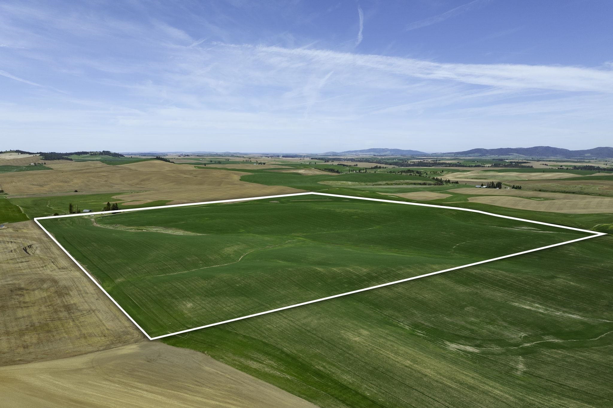 Nka South Starr Road Fairfield, WA 99012 - Photo 20 of 30